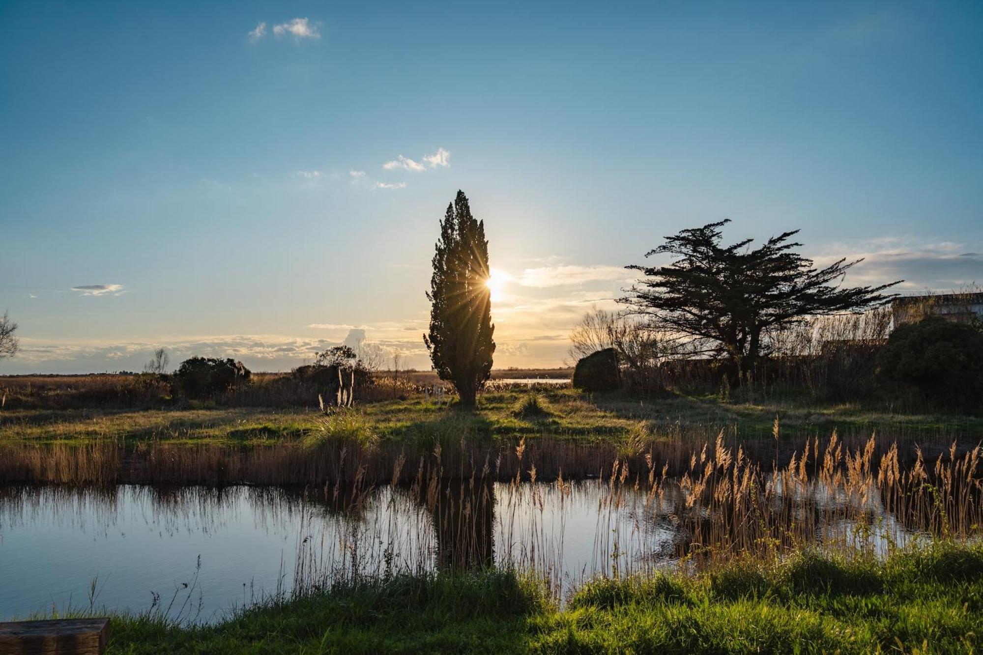 Mas Du Couvin, Maison D'Hotes En Camargue Saintes-Maries-de-la-Mer Esterno foto