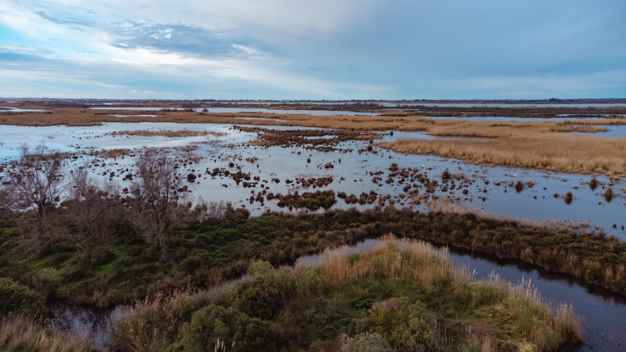 Mas Du Couvin, Maison D'Hotes En Camargue Saintes-Maries-de-la-Mer Esterno foto